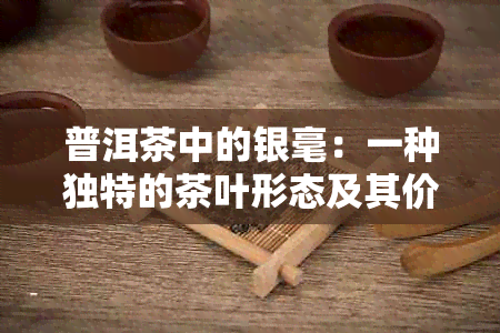 普洱茶中的银毫：一种独特的茶叶形态及其价值