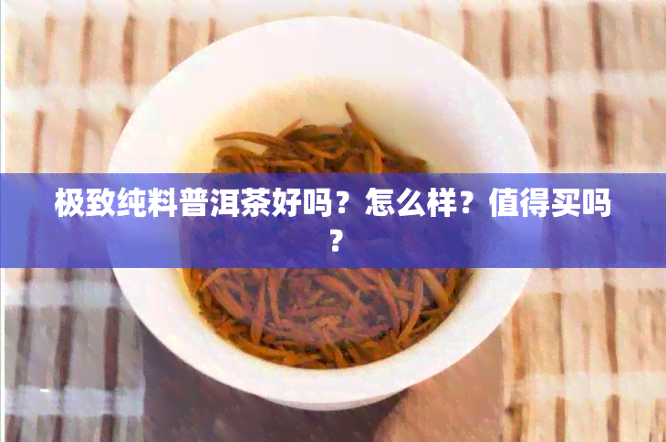 极致纯料普洱茶好吗？怎么样？值得买吗？