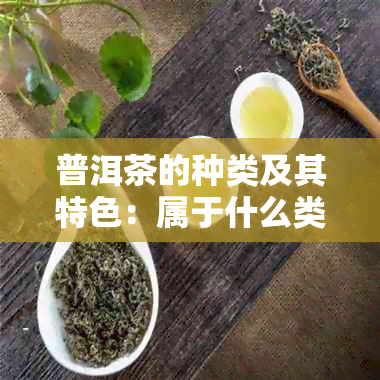 普洱茶的种类及其特色：属于什么类型的普洱茶？