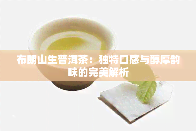 布朗山生普洱茶：独特口感与醇厚韵味的完美解析