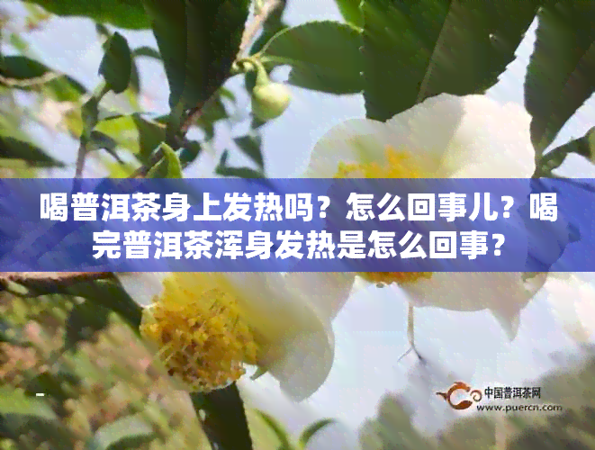 喝普洱茶身上发热吗？怎么回事儿？喝完普洱茶浑身发热是怎么回事？