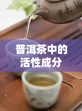 普洱茶中的活性成分引发的全身热感：原因、解析及健影响