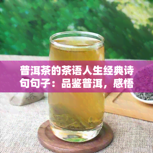 普洱茶的茶语人生经典诗句句子：品鉴普洱，感悟人生。