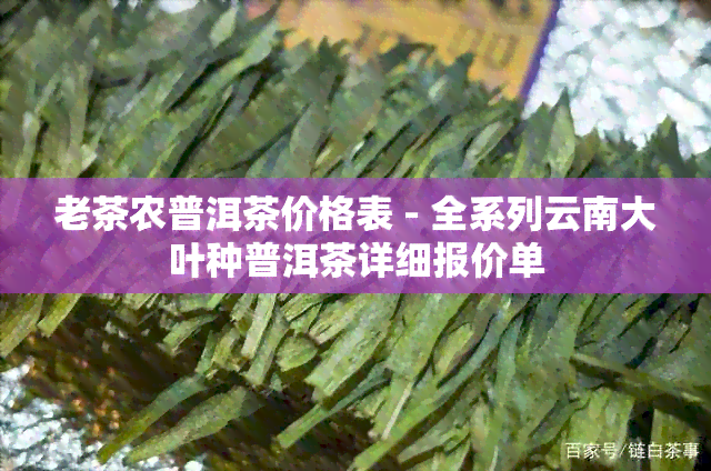 老茶农普洱茶价格表 - 全系列云南大叶种普洱茶详细报价单