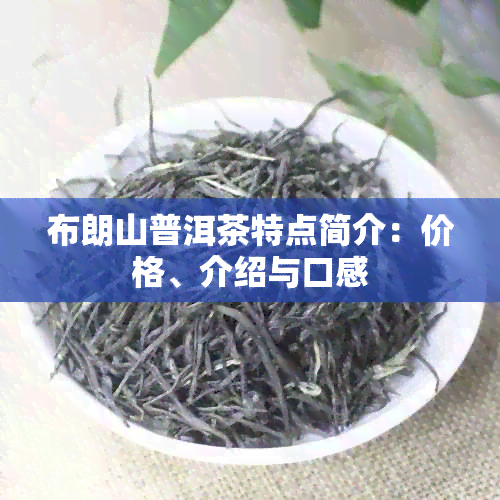 布朗山普洱茶特点简介：价格、介绍与口感