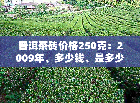 普洱茶砖价格250克：2009年、多少钱、是多少以及1000克的价格