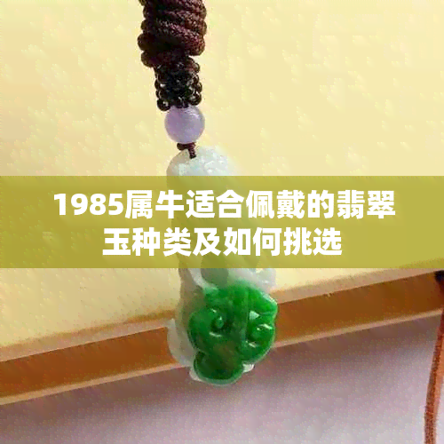 1985属牛适合佩戴的翡翠玉种类及如何挑选