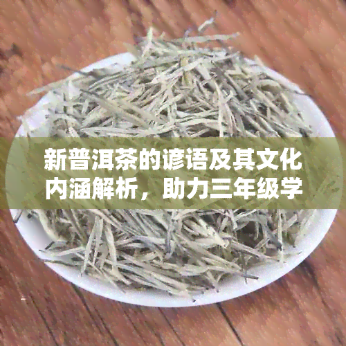 新普洱茶的谚语及其文化内涵解析，助力三年级学生深入了解普洱茶