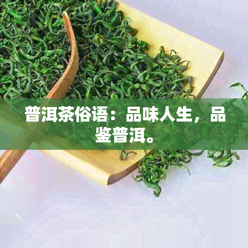 普洱茶俗语：品味人生，品鉴普洱。