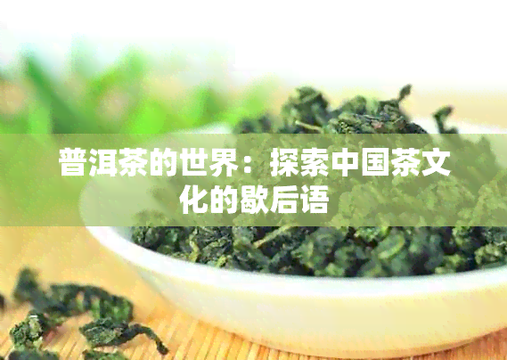 普洱茶的世界：探索中国茶文化的歇后语