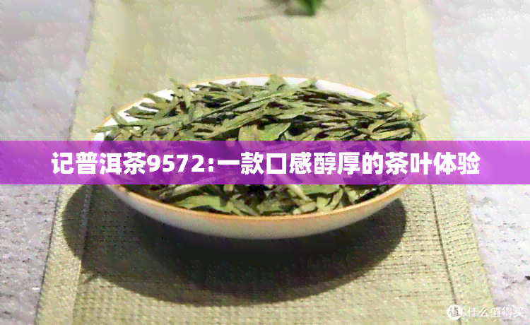 记普洱茶9572:一款口感醇厚的茶叶体验