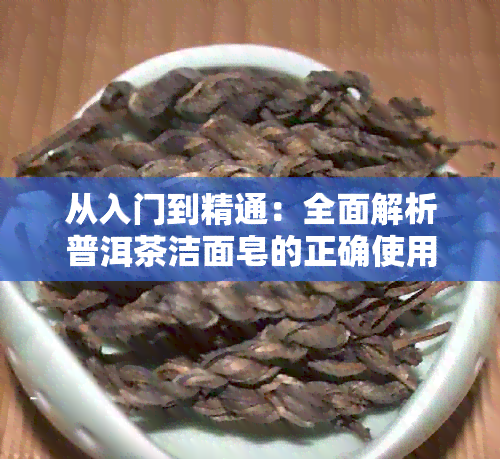 从入门到精通：全面解析普洱茶洁面皂的正确使用方法及其功效