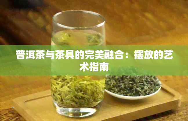 普洱茶与茶具的完美融合：摆放的艺术指南