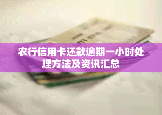 农行信用卡还款逾期一小时处理方法及资讯汇总