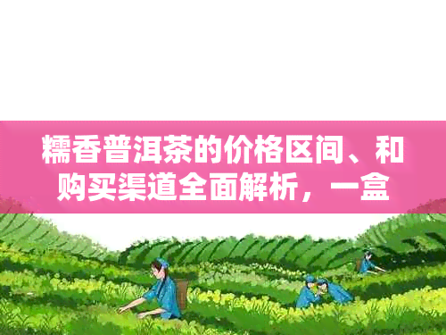 糯香普洱茶的价格区间、和购买渠道全面解析，一盒多少钱？