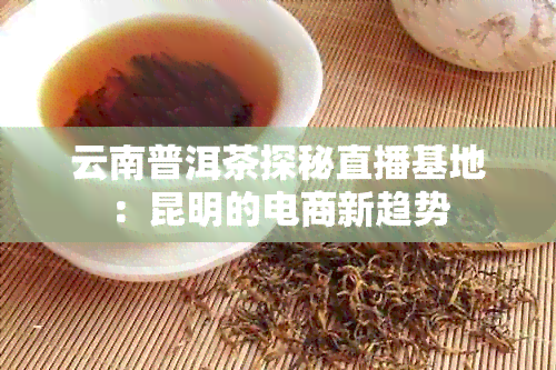 云南普洱茶探秘直播基地：昆明的电商新趋势