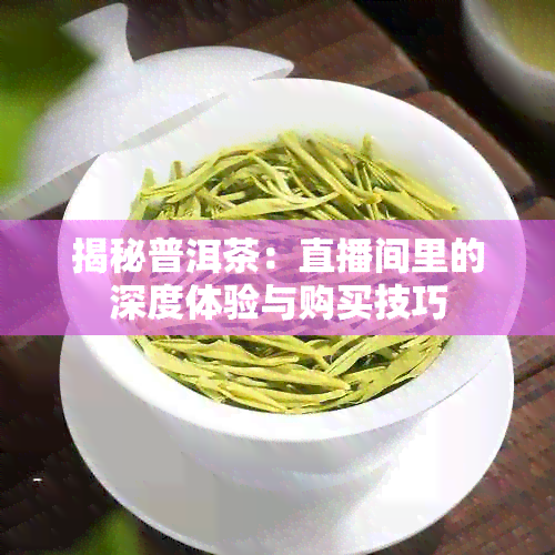 揭秘普洱茶：直播间里的深度体验与购买技巧