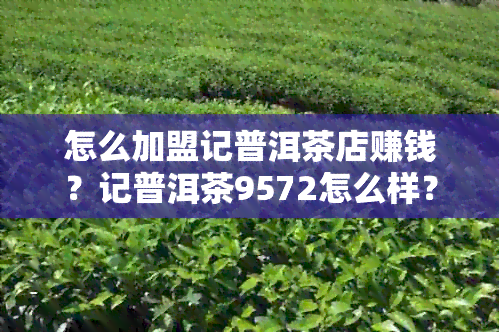 怎么加盟记普洱茶店赚钱？记普洱茶9572怎么样？