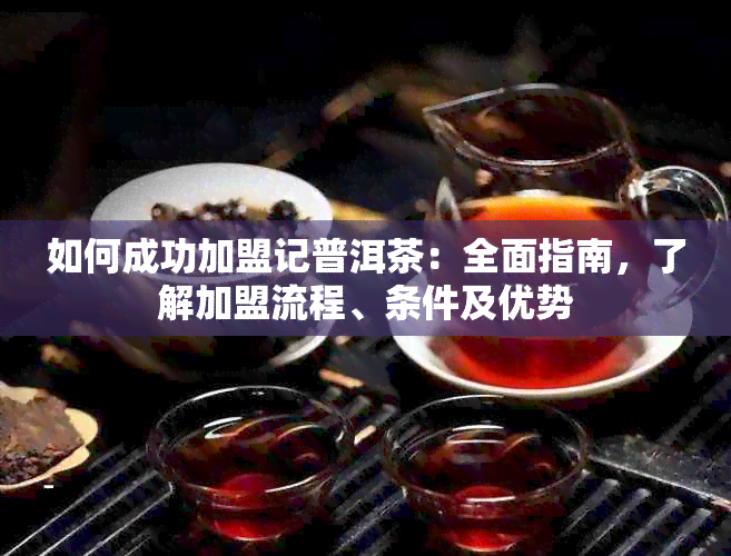 如何成功加盟记普洱茶：全面指南，了解加盟流程、条件及优势