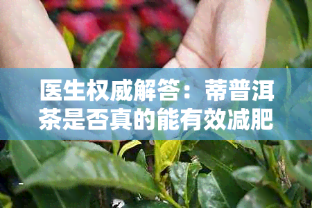 医生权威解答：蒂普洱茶是否真的能有效减肥？