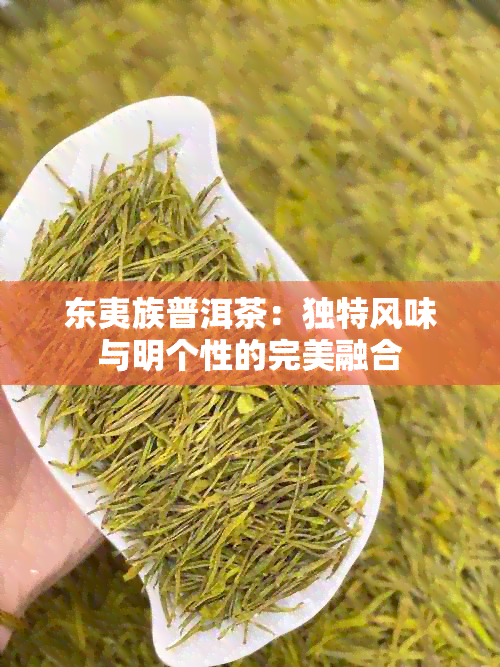 东夷族普洱茶：独特风味与明个性的完美融合