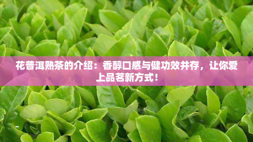 花普洱熟茶的介绍：香醇口感与健功效并存，让你爱上品茗新方式！