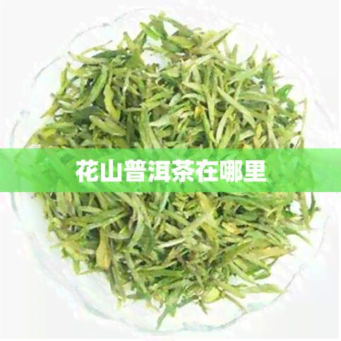 花山普洱茶在哪里