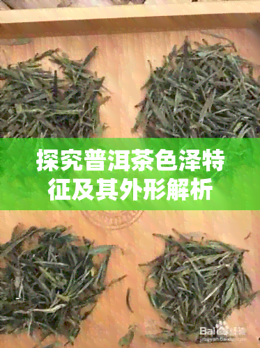 探究普洱茶色泽特征及其外形解析