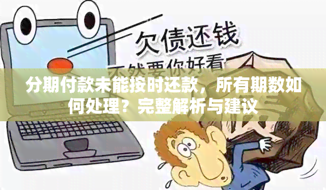 分期付款未能按时还款，所有期数如何处理？完整解析与建议