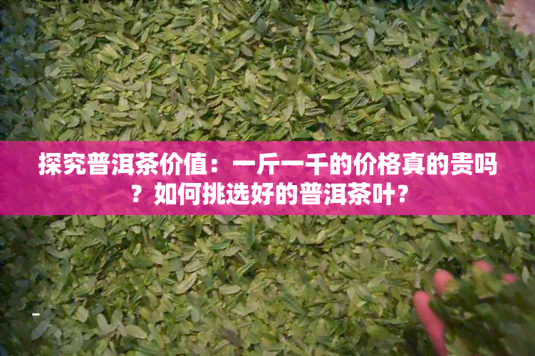 探究普洱茶价值：一斤一千的价格真的贵吗？如何挑选好的普洱茶叶？