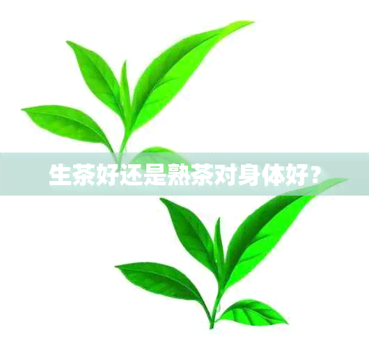 生茶好还是熟茶对身体好？