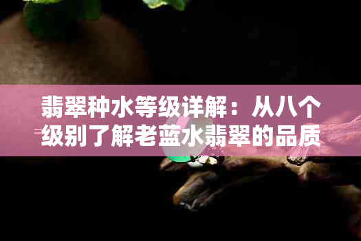 翡翠种水等级详解：从八个级别了解老蓝水翡翠的品质与价值