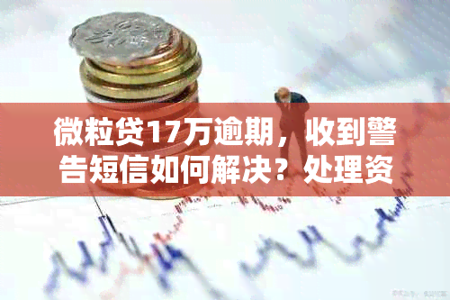 微粒贷17万逾期，收到警告短信如何解决？处理资讯一览