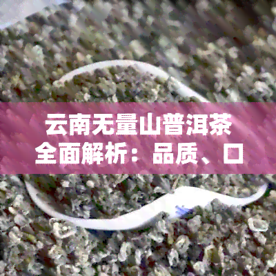 云南无量山普洱茶全面解析：品质、口感、产地与泡法，一次解答你的所有疑问