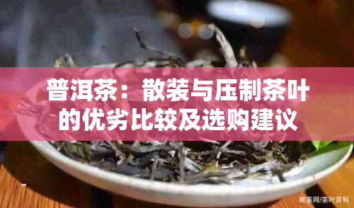 普洱茶：散装与压制茶叶的优劣比较及选购建议