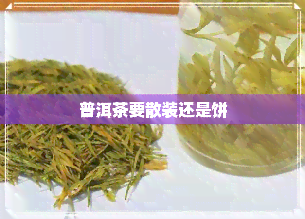 普洱茶要散装还是饼