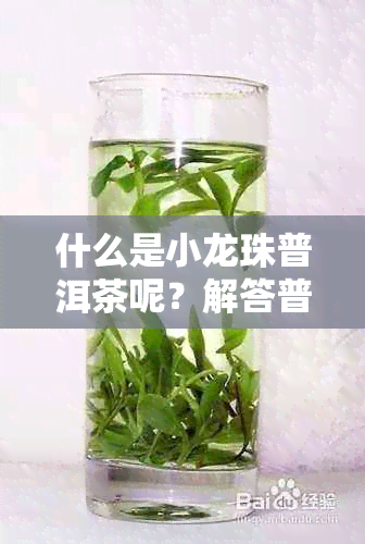 什么是小龙珠普洱茶呢？解答普洱茶中的小龙珠疑问