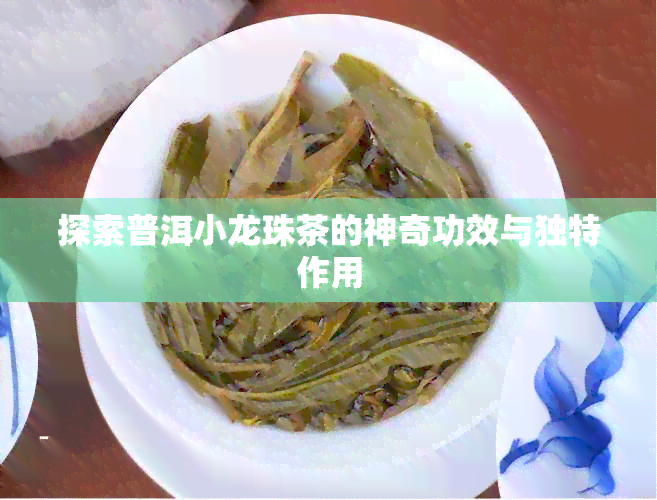 探索普洱小龙珠茶的神奇功效与独特作用