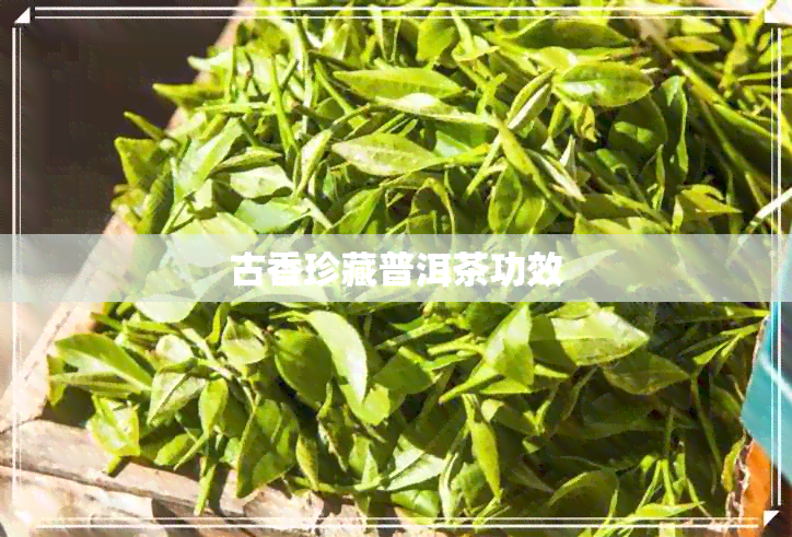 古香珍藏普洱茶功效