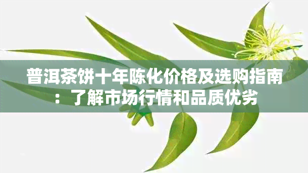 普洱茶饼十年陈化价格及选购指南：了解市场行情和品质优劣