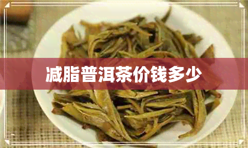 减脂普洱茶价钱多少