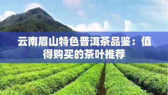 云南眉山特色普洱茶品鉴：值得购买的茶叶推荐