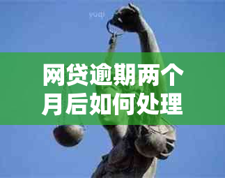 网贷逾期两个月后如何处理？继续还款是否可行？还有哪些解决方法？