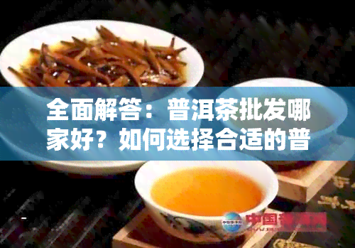 全面解答：普洱茶批发哪家好？如何选择合适的普洱茶批发商？