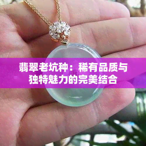 翡翠老坑种：稀有品质与独特魅力的完美结合