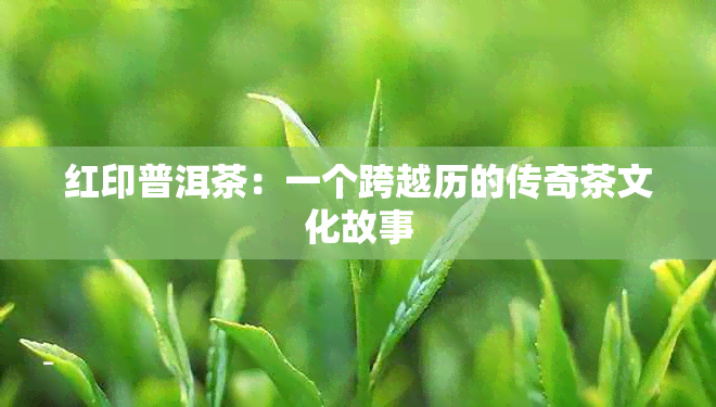 红印普洱茶：一个跨越历的传奇茶文化故事