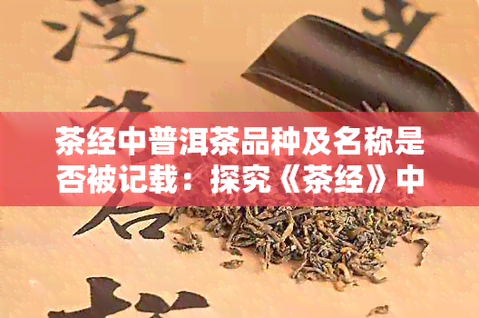 茶经中普洱茶品种及名称是否被记载：探究《茶经》中的普洱茶相关信息。