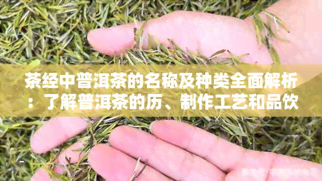 茶经中普洱茶的名称及种类全面解析：了解普洱茶的历、制作工艺和品饮方法