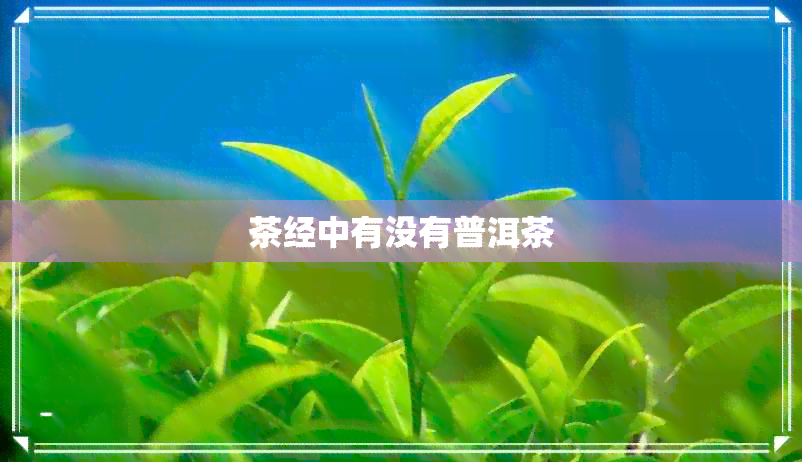 茶经中有没有普洱茶