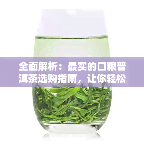 全面解析：最实的口粮普洱茶选购指南，让你轻松选对好茶！